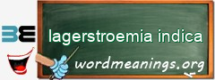 WordMeaning blackboard for lagerstroemia indica